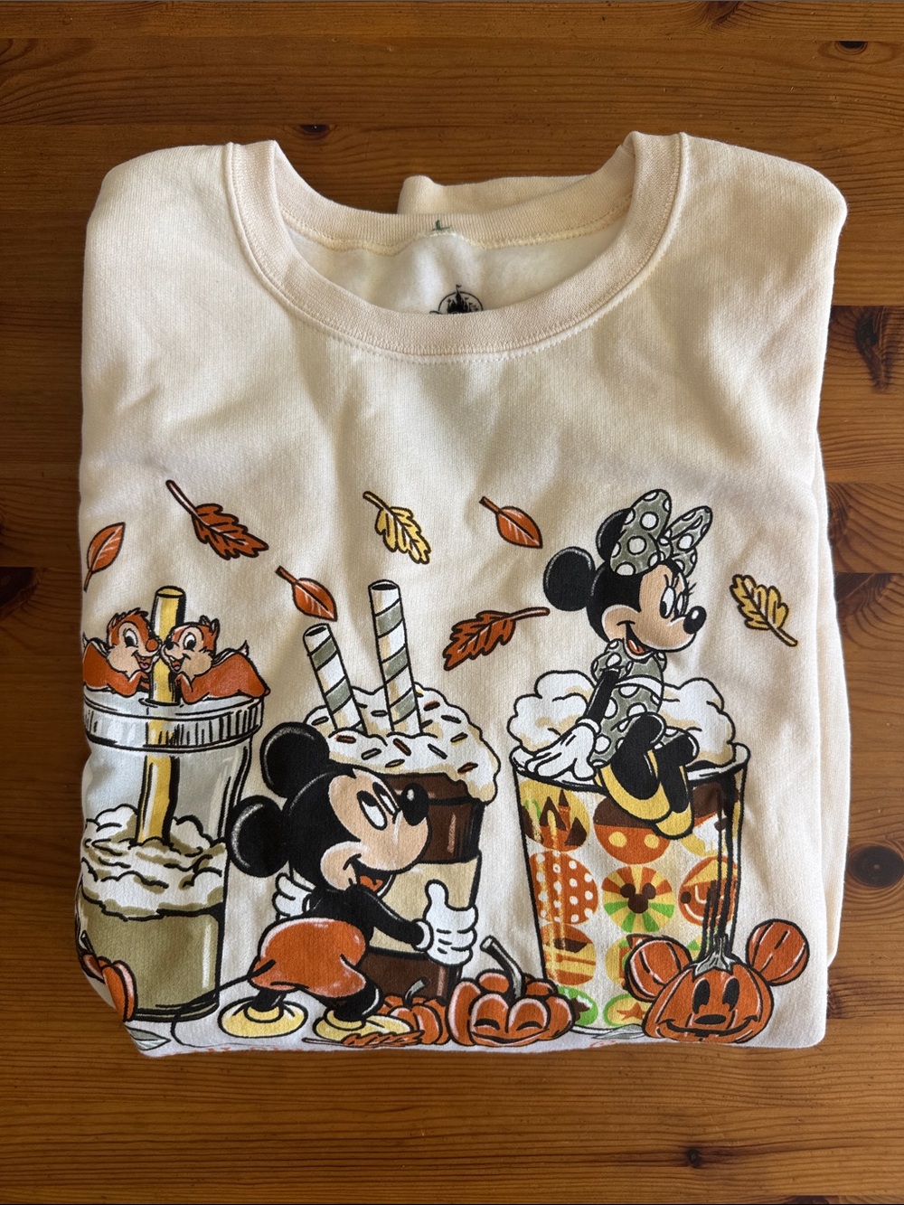 Disney Disneyland Resort Pumpkin Spice & Everything Nice Crewneck Sweatshirt - Picture 12 of 16